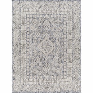 Hauteloom Balarim Indoor & Outdoor Rug - 1 of 4