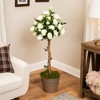 Northlight Potted Floral Artificial Roses in Bloom Garden Tree - White - 4' - 2 of 4