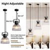 1-Light Pendant Light with Glass Shade - 3 of 4