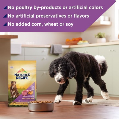 Nature's recipe dog food target best sale