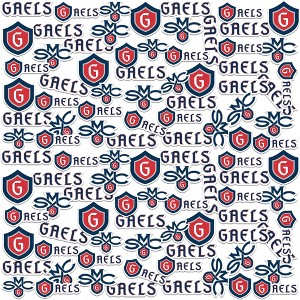 Saint Marys College Of California 100Ct Sticker Packs Miscellaneous 100 Ct. Sticker Pack - 1 of 4