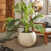 Kenslia Concrete Ficonstone Planter - Indoor/Outdoor - PAT1519 - Safavieh - 2 of 4