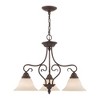 Livex Lighting Coronado 3 - Light Chandelier in  Imperial Bronze - 2 of 4