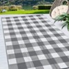 Buffalo Plaid Outdoor Mats Plastic Straw Rug Waterproof Washable Outdoor Rug for Garden Backyard Picnic Camping RV Deck Beach Trailer - 2 of 4