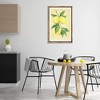 Stupell Industries Hanging Lemons Country Charm Black Framed Floater Canvas Wall Art - 2 of 4