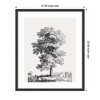Kate and Laurel Framed Art Jean Victor Bertin Study of a Tree 1816 by The Art Institute of Chicago, 21x25, Stylish Black Narrow - 2 of 4