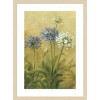 Amanti Art Agapanthus Flowers III by Danhui Nai Framed Wall Art Print - 4 of 4