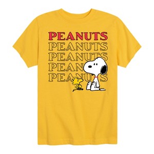 Boys' - Peanuts - Snoopy Woodstock Short Sleeve Graphic T-Shirt - 1 of 4