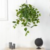 Nearly Natural 2.5-ft Philodendron Artificial Plant in Hanging Basket - 3 of 4