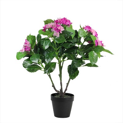 Northlight 25.75" Hydrangea Flower Artificial Potted Plant - Pink/Green