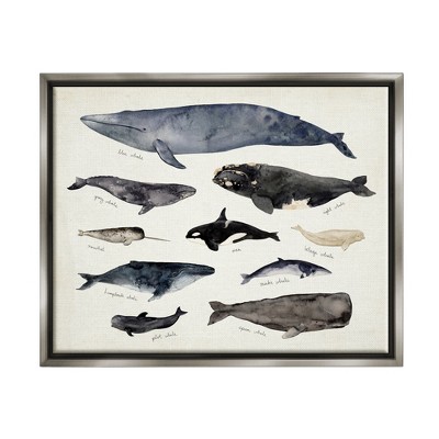 Stupell Industries Vintage Nautical Chart of Whales Ocean Life
