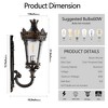 Maliang 21" H Vintage Outdoor Wall Lantern, Decorative Outdoor Lighting Fixture for Patio, Garden (One piece&No bulb) - 2 of 4