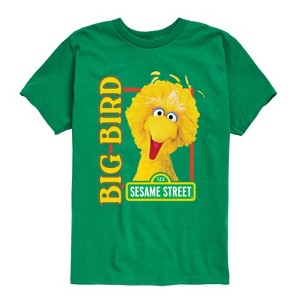 Boys' - Sesame Street - Big Bird Photo Short Sleeve Graphic T-Shirt - 1 of 4