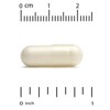 PEA Palmitoylethanolamide, Micronized PEA, Supports Relief from Occasional Minor Pain & Discomfort, Gluten Free, Soy Free, 300 mg, 90 Veggie Capsules - 3 of 3