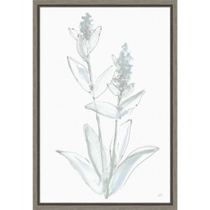 Amanti Art Lambs Ear Sage IV Bleached by Chris Paschke Framed Canvas Wall Art - 1 of 4