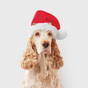 Santa Hat Dog and Cat Headpiece Costume - Boots & Barkley™ Red - 1 of 3