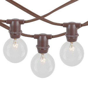 Novelty Lights 100 Feet Heavy Duty Light Strings and Sets with 100 In-Line E12 Sockets, Brown Wire PVC Stringer, 12" Spacing, Non-Connectable - 1 of 4