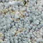 charcoal, cream, mustard, lightgray, lightbrown, mediumbrown