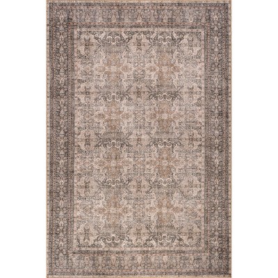 Nuloom Hillstone Collection Else Traditional Vintage Medallion Area Rug