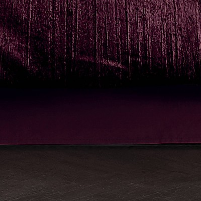 Plum Velvet Queen Comforter Set with Decorative Pillows