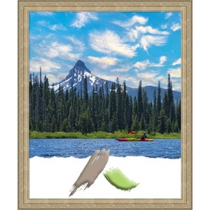 Amanti Art Paris Champagne Picture Frame - 1 of 4
