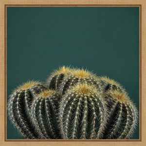 Amanti Art Cactus I by Andre Eichman Canvas Wall Art Print Framed 16 x 16-in. - 1 of 4