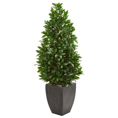 Nearly Natural 56-in Bay Leaf Cone Topiary Artificial Tree UV Resistant in Black Planter (Indoor/Outdoor)