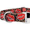 Country Brook Petz Premium Dog Collar - Affection Collection - 4 of 4