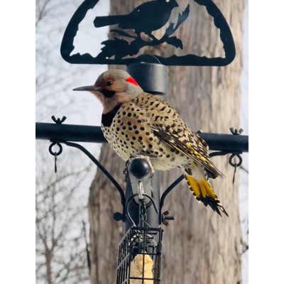 Black 96" Steel Squirrel Proof Bird Feeder Pole System