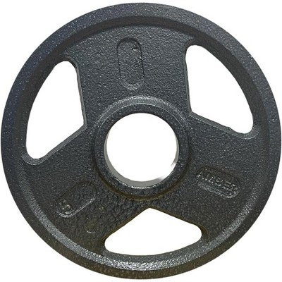 Amber Fight Gear Triple-Grip Weight Plates, Durable Cast Iron for Strength Training, Ideal for Squats, Deadlifts, Bench Press, Pair (5 lbs)