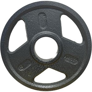 Amber Fight Gear Triple-Grip Weight Plates, Durable Cast Iron for Strength Training, Ideal for Squats, Deadlifts, Bench Press, Pair (5 lbs) - 1 of 4