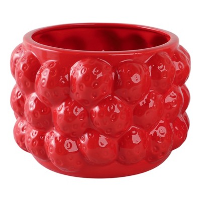 Cheerful Planter Pot Perfect for Indoor or Outdoor Herbs, Ferns, or Succulents - Modern Pot for Indoor - Great for Garden and Patio Decor