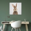 iCanvas Rabbit by Gal Design Canvas Print Wall Art - 3 of 3