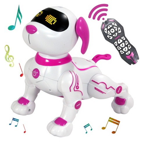 the dog robot