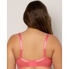 Curvy Couture Sheer Mesh Push Up - 4 of 4