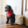 Pavilion Gift Company - Best Dog - 5" x 6" Door Stopper - Door Stops - 3 of 4