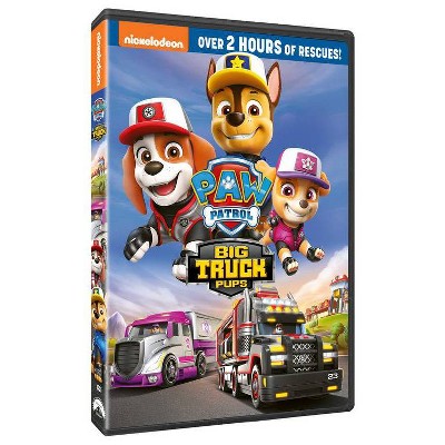 Paw Patrol: All Paws On Deck (dvd) : Target