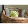 Liora Manne Visions II Garden Indoor/Outdoor Pillow.. - 3 of 4