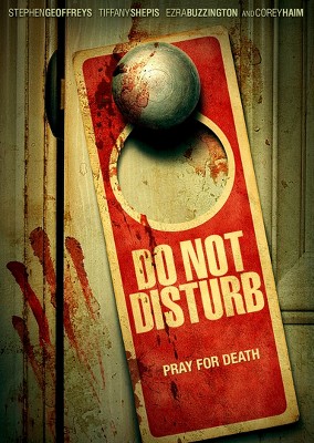 Do Not Disturb (DVD)(2013)