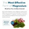 Triquetra Plant Magnesium: Organic, Whole Food Magnesium Supplement - 60 Capsules - 30 Day Supply - 3 of 4
