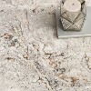 Nourison Glam Abstract Texture Indoor Area Rug - 3 of 4