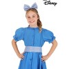 HalloweenCostumes.com One Size Girl Girls' Disney Peter Pan Wendy Halloween Costume Accessory Kit, Gray/Blue - 4 of 4
