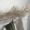 Sullivans Metallic Glittered Garland - 3 of 3