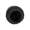 Black Rope & Seagrass Vase - Foreside Home & Garden - 2 of 4