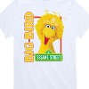 Boys' - Sesame Street - Big Bird Photo Short Sleeve Graphic T-Shirt - 2 of 4