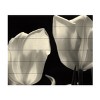 Trademark Fine Art -Martha Guerra 'Tulips' Wood Slat Art - 2 of 4