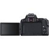 Canon EOS Rebel SL3/250D DSLR Camera (Black, Body Only) with Canon EOS Bag | Sandisk Ultra 64GB Card | Clean and Care Kit - 2 of 4