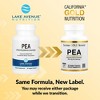 PEA Palmitoylethanolamide, Micronized PEA, Supports Relief from Occasional Minor Pain & Discomfort, Gluten Free, Soy Free, 300 mg, 30 Veggie Capsules - 3 of 4