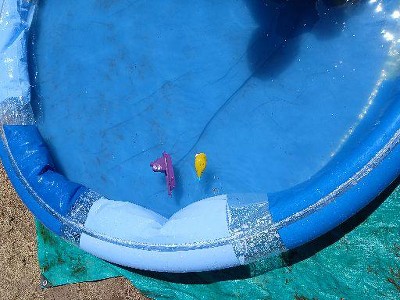 Guest review image 1 of 2, zoom in