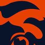 chicago bears